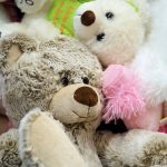 Adoptions : Others